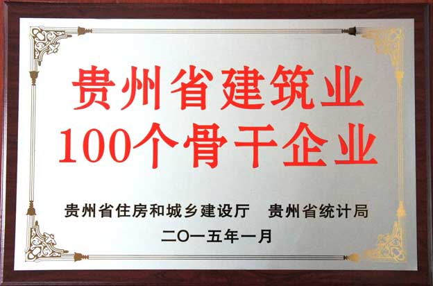 贵州省建筑100个骨干企业